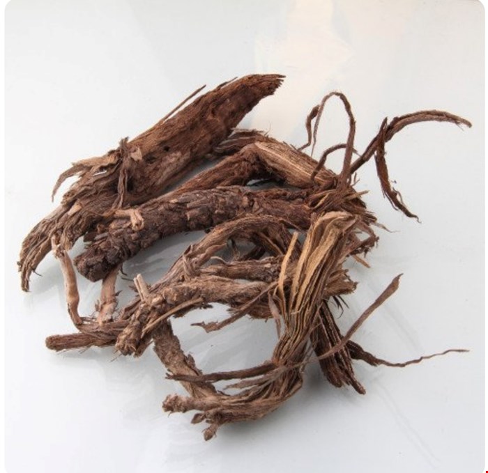 ریشه بابا ادم 