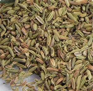 دانه رازیانه