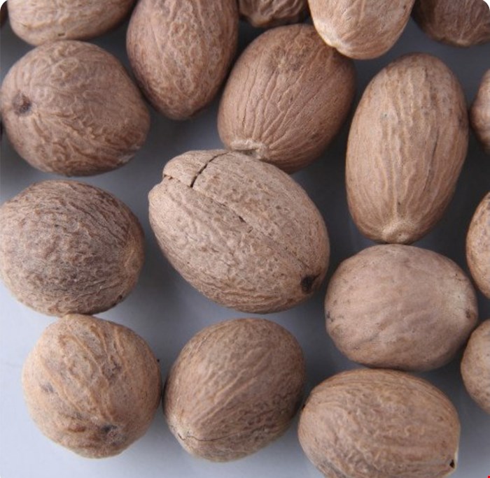 دانه جوز هندی