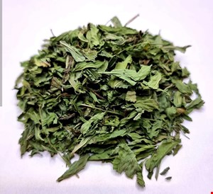 برگ نعناع