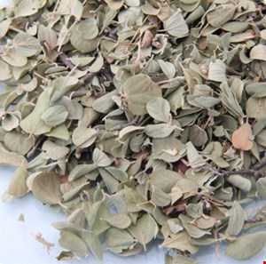 برگ سدر