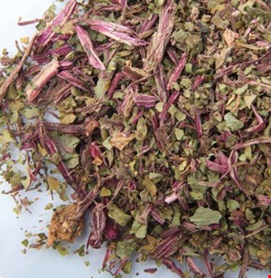 برگ چغندر