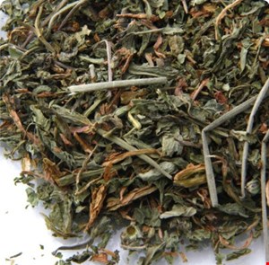 برگ کاسنی