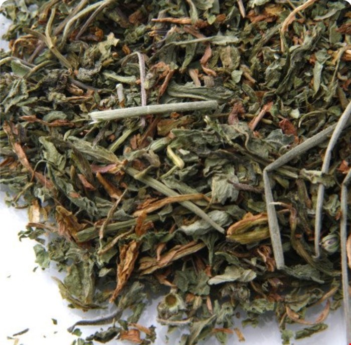 برگ کاسنی
