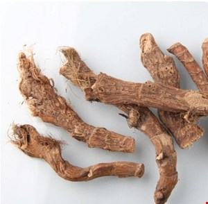 ریشه اگیر ترکی