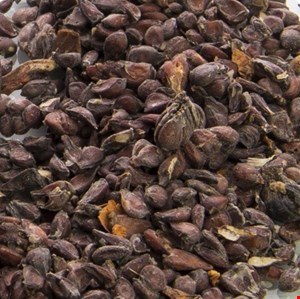 دانه به