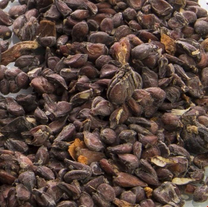 دانه به