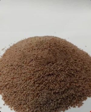 دانه اسفرزه