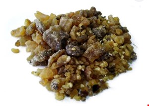 صمغ آنغوزه 