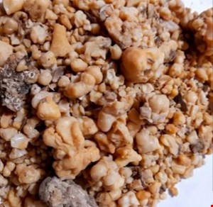 صمغ اوشق