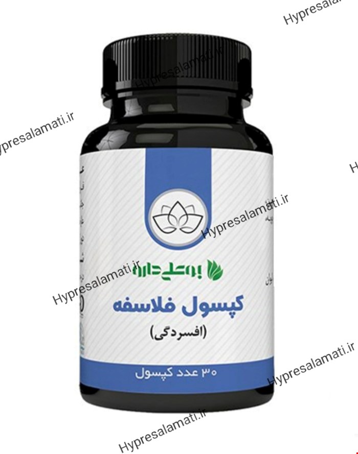 کپسول فلاسفه بوعلی