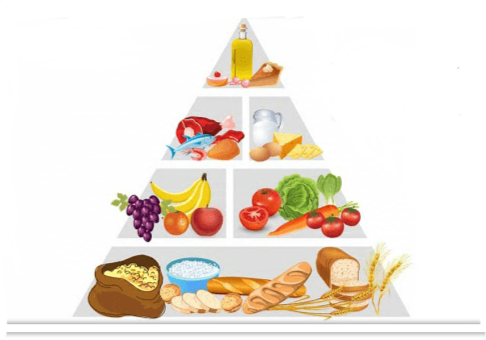  طب سنتی و رژیم غذایی سالم